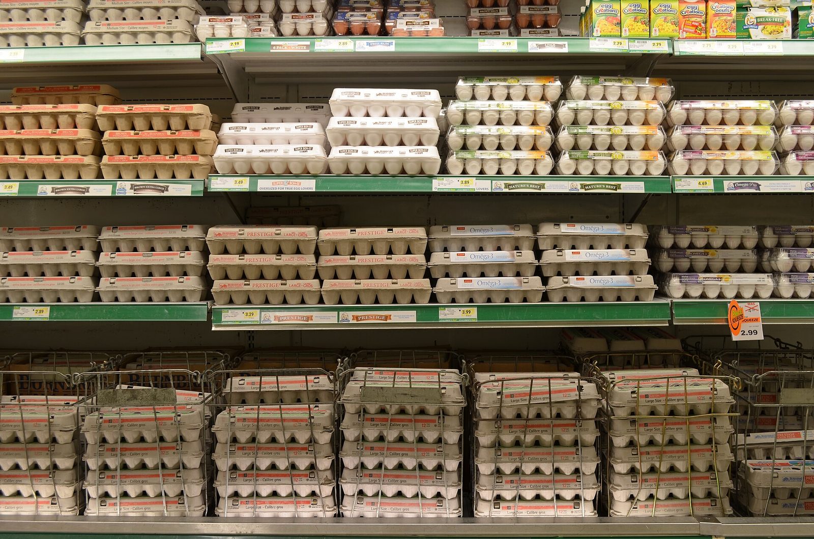 Cartons of eggs stacked on grocery store shelves