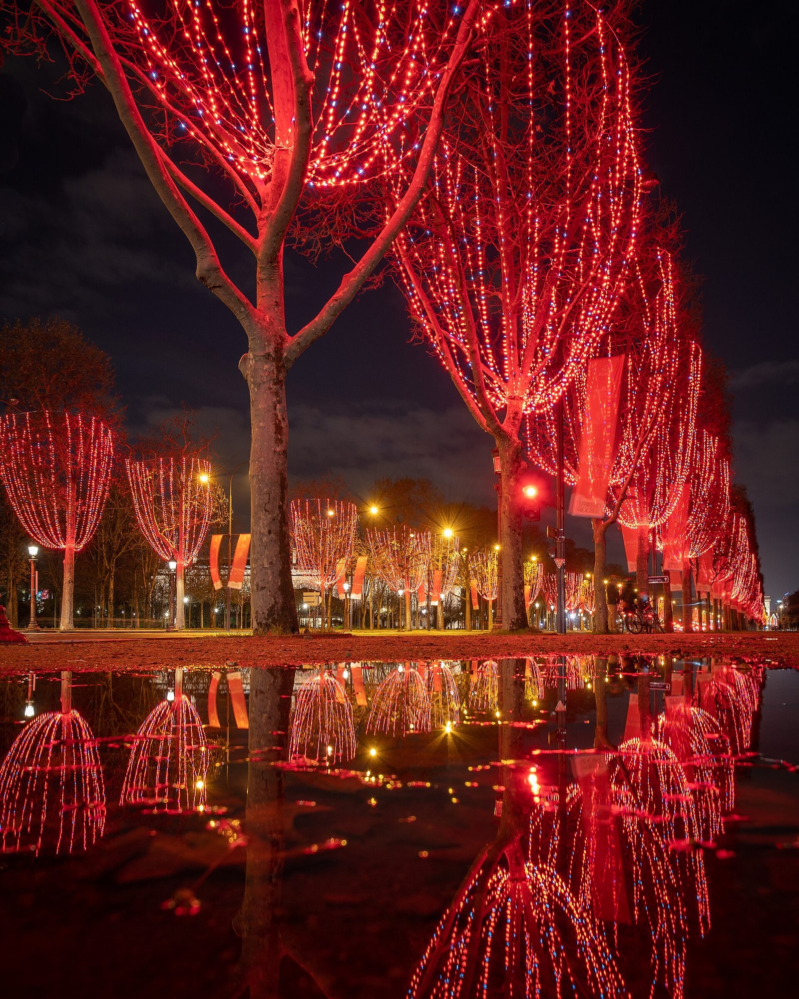 Christmas lights on the Champs-Élysées in Paris